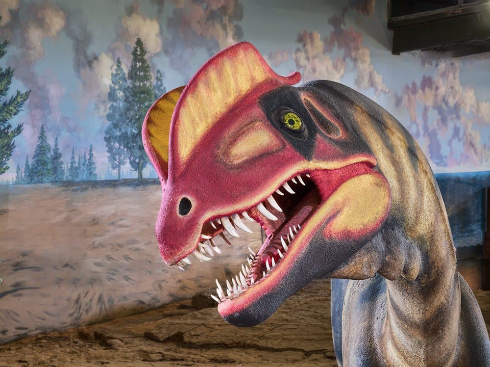 Life-restoration model of an Early Jurassic Dilophosaurus 