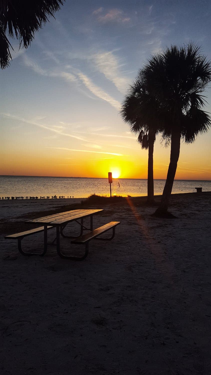 Sunset at Rees Park