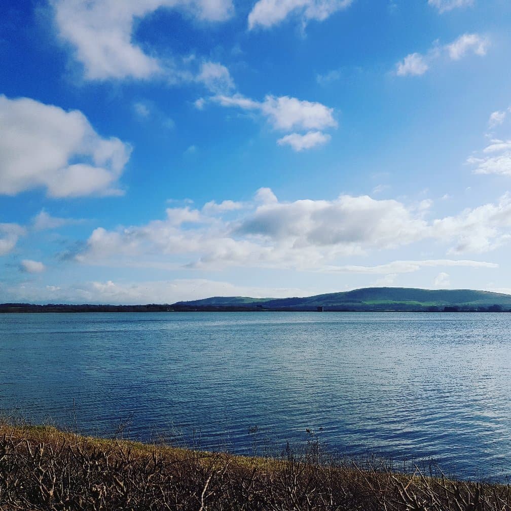 Arlington Reservoir