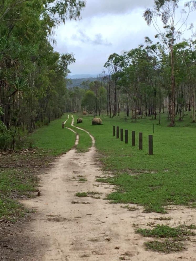 when you first enter park, Davies Velodrome.