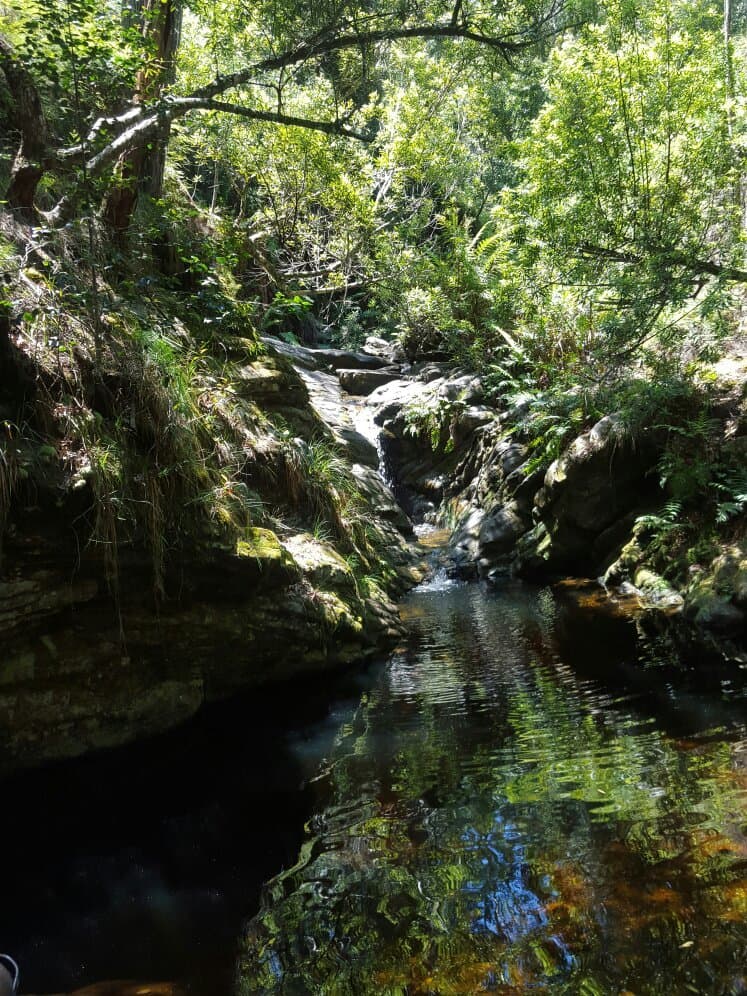 Jubilee Creek Picnic Site