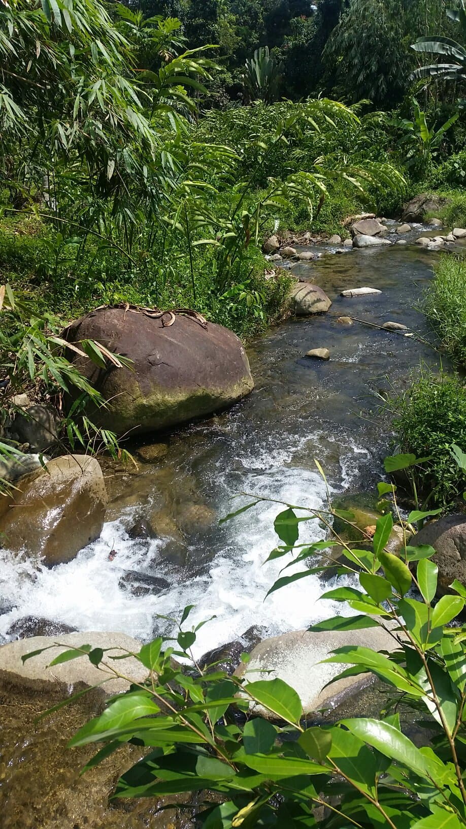 Sungai Lepoh Waterfall