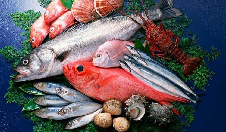 O melhor em pescados