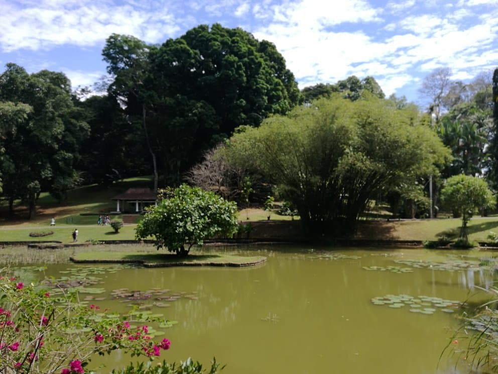 Serbithang Botanical Garden