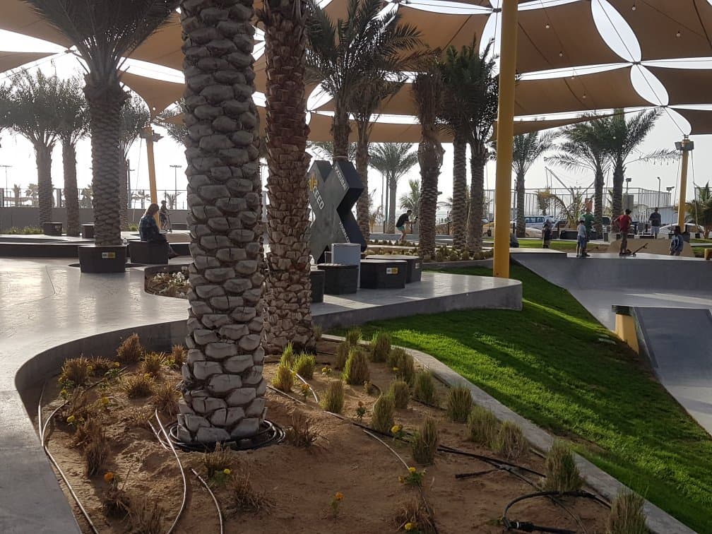 A park full of speed