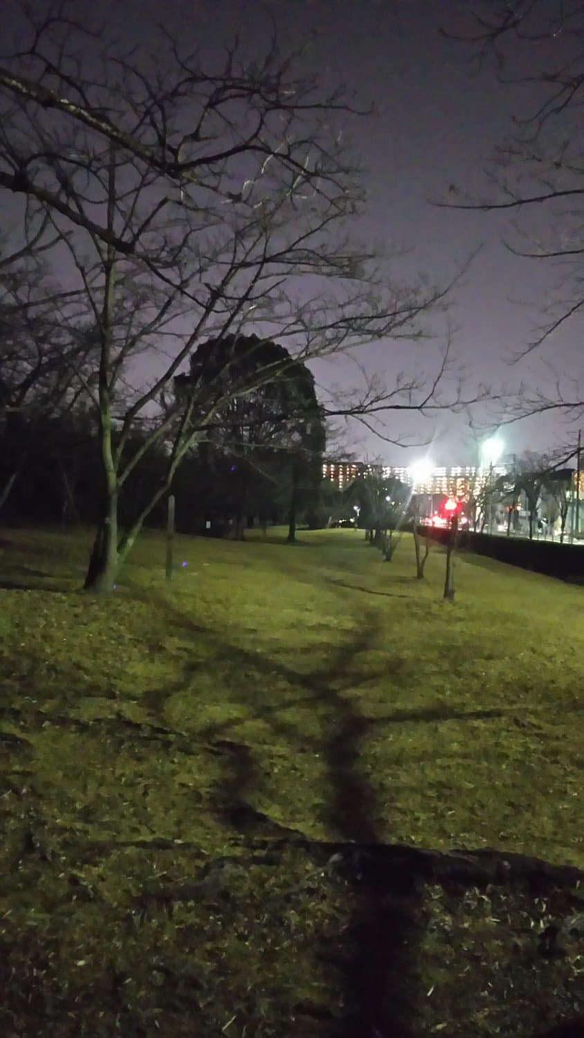 公園です