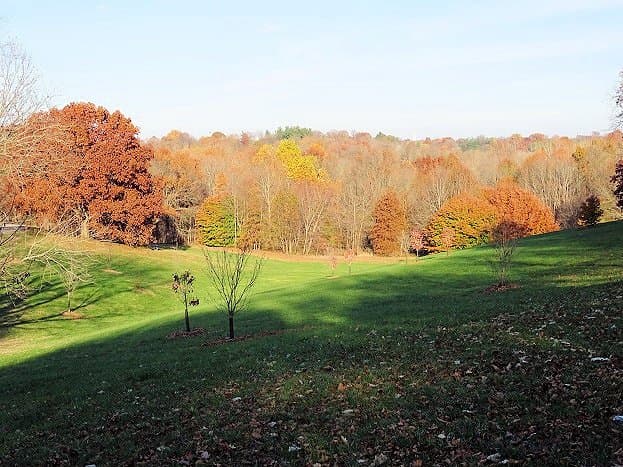 beautiful views along loop road