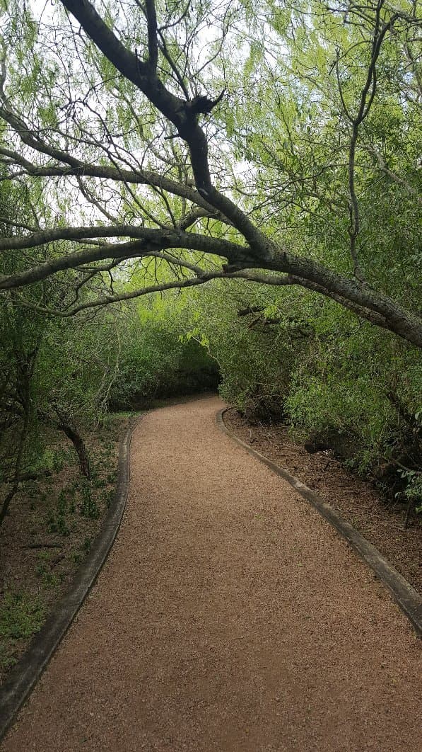 McAllen Nature Center McAllen Texas