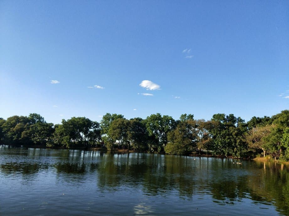 Bede Park