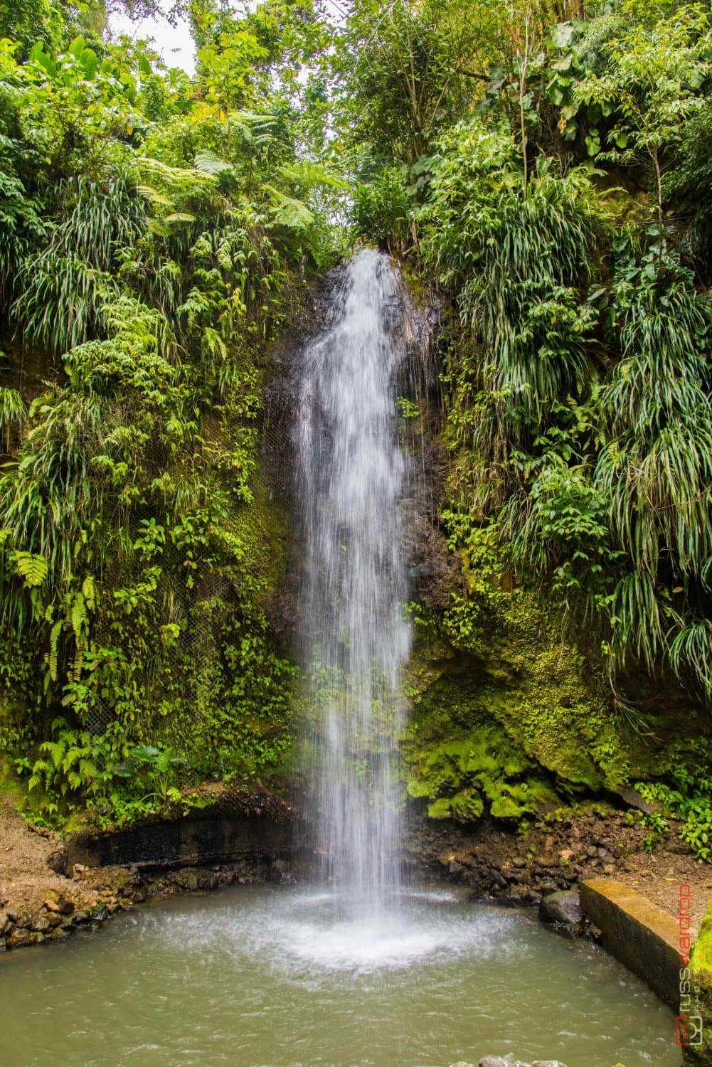The Falls