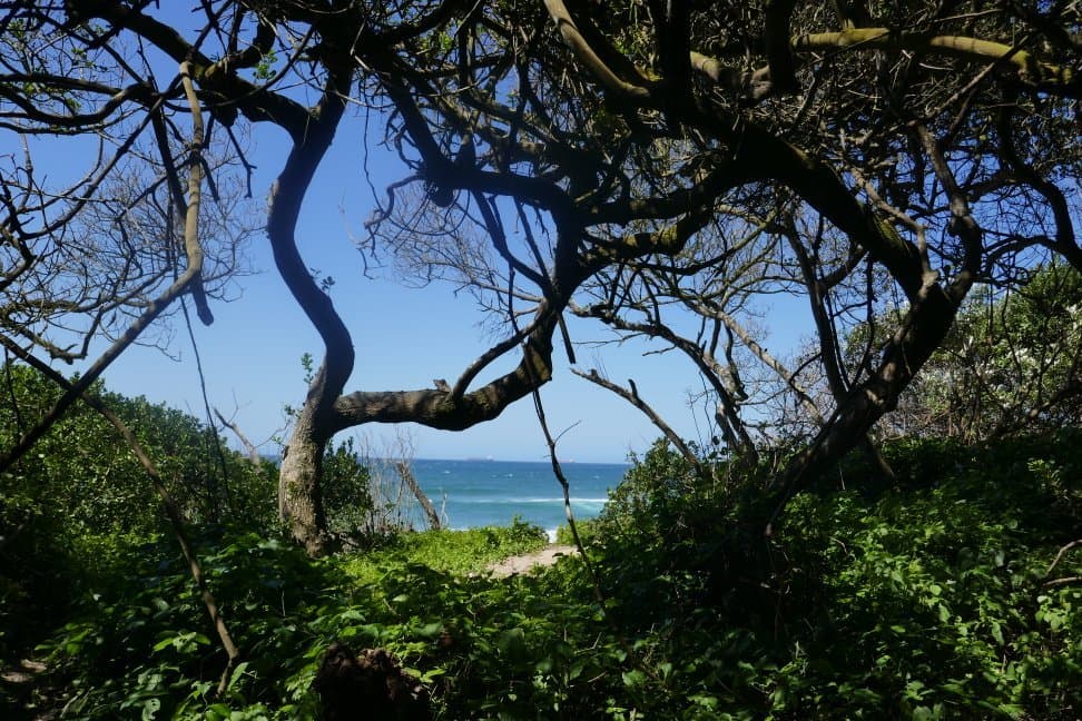 Umhlanga Lagoon Nature Reserve