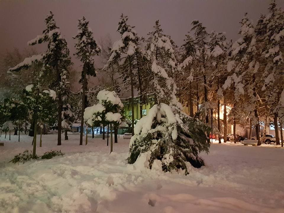 Montereale Park