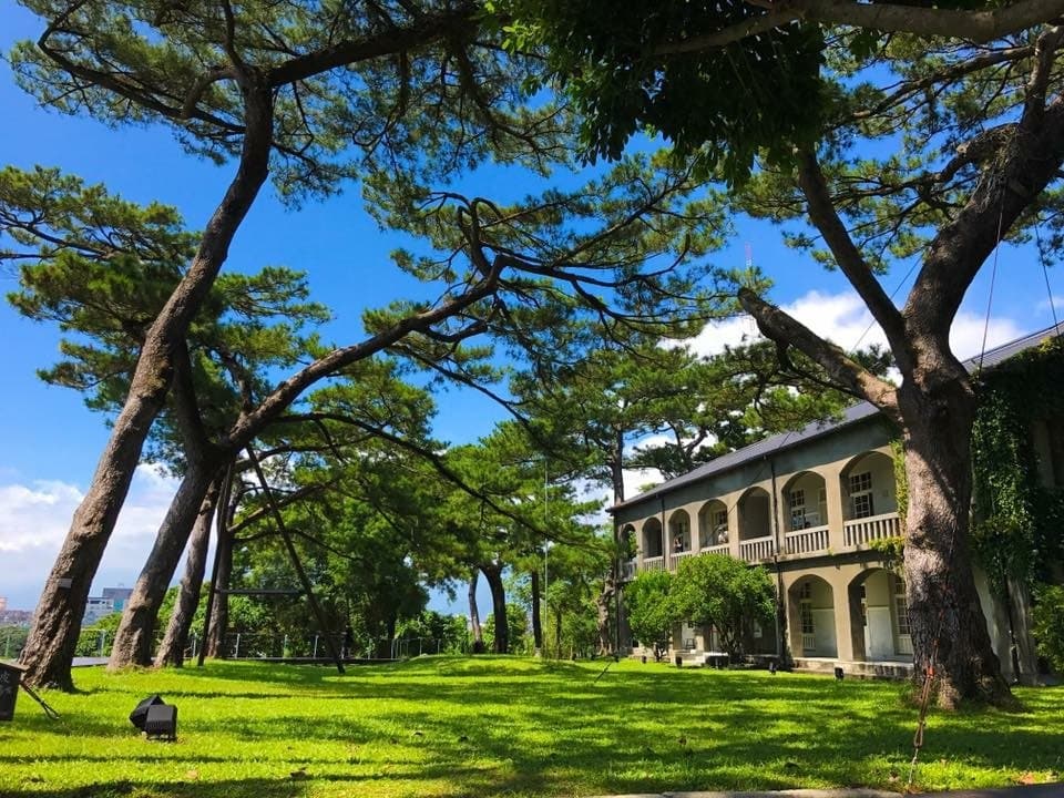 這個角度是很棒的留影方向，可以拍到二層主建築及層層松林