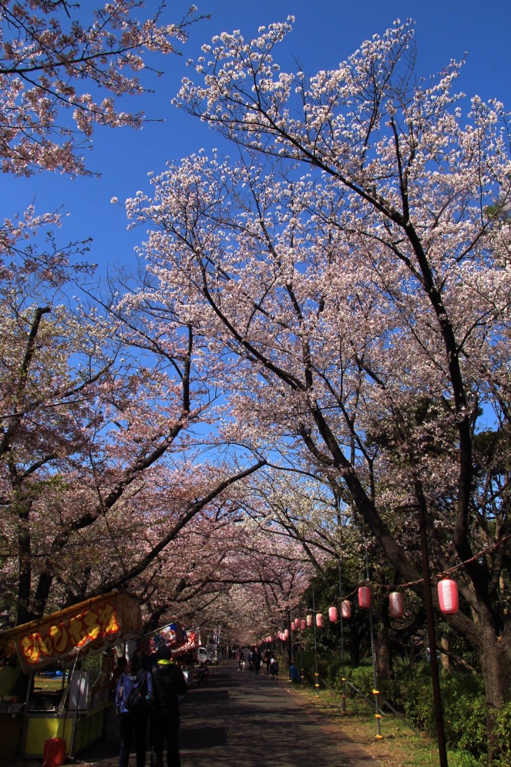 Tatsumi-no-Mori Seaside Park