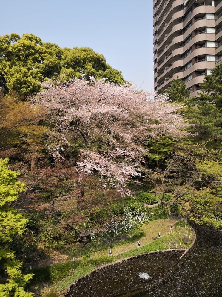 Gotenyama Garden