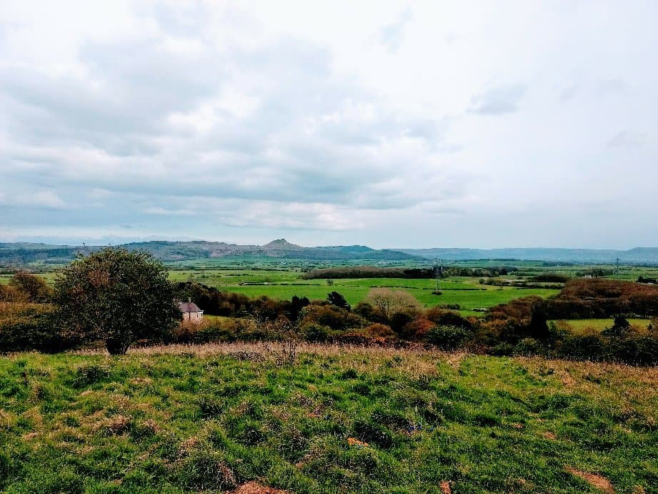 View from Flatt's lane woodland