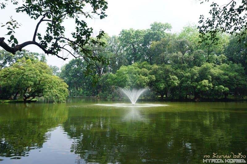 Bach Thao Park