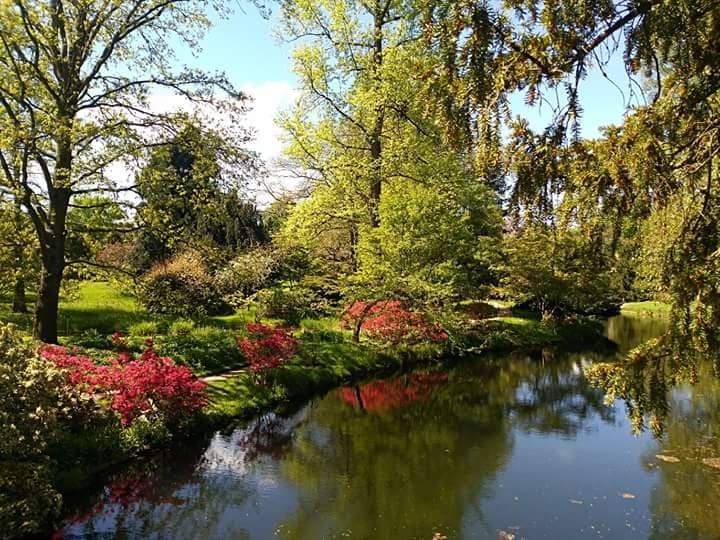 Arboretum de la Vallée-aux-Loups Châtenay-Malabry