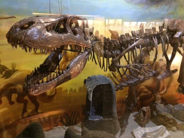 dinosaur at the minerolical museum