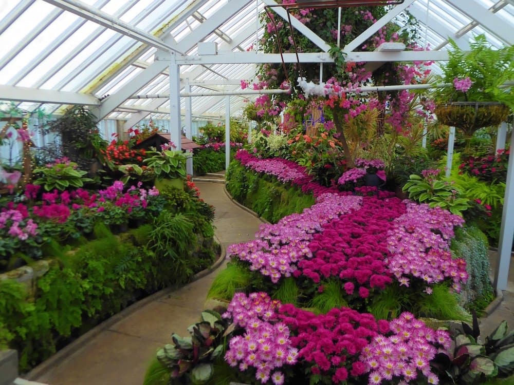 A riot of colour