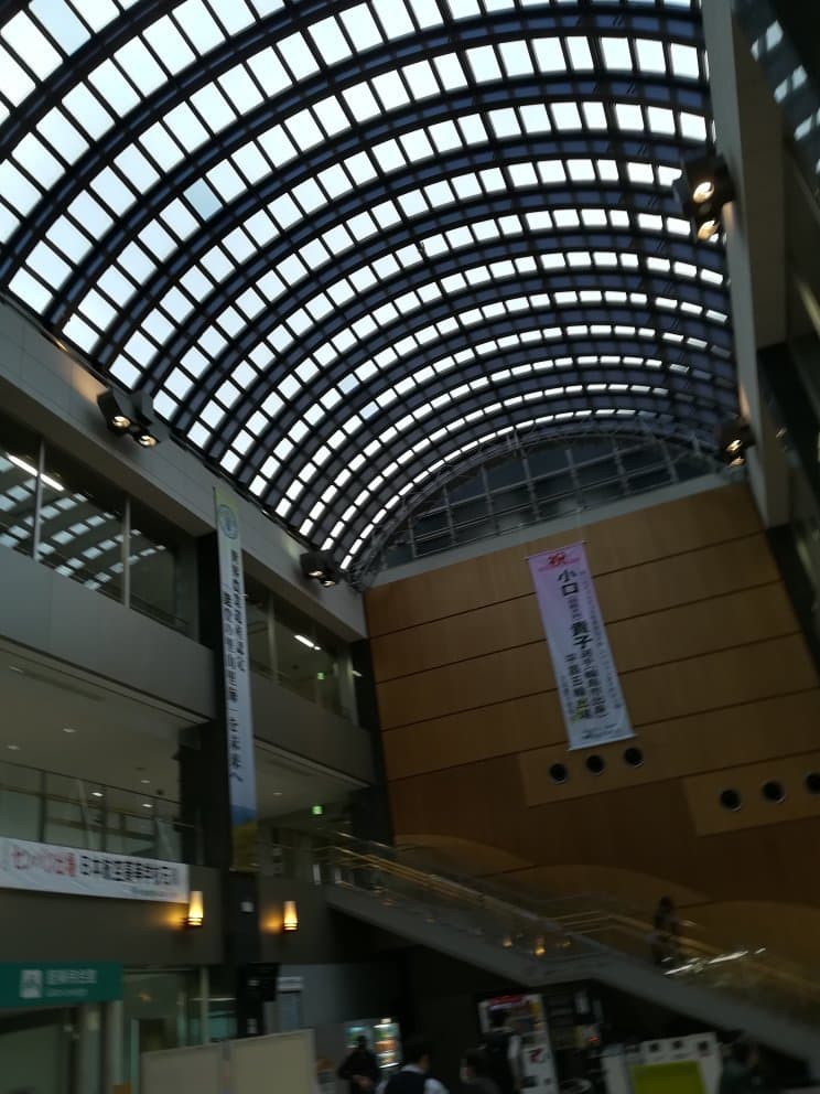 Noto Satoyama Airport Observation Deck