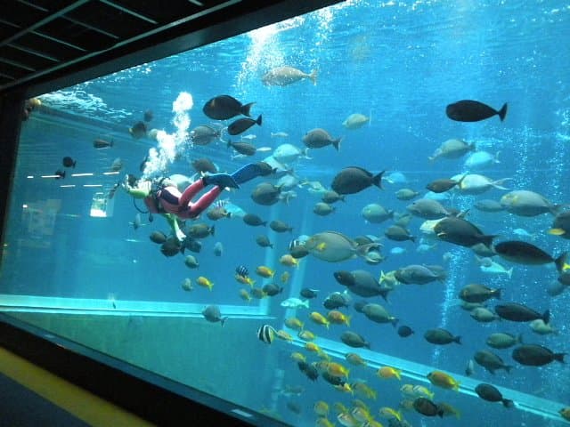 Hakone-en Aquarium