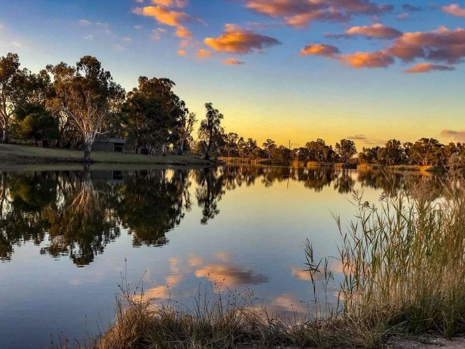 Merbein Common