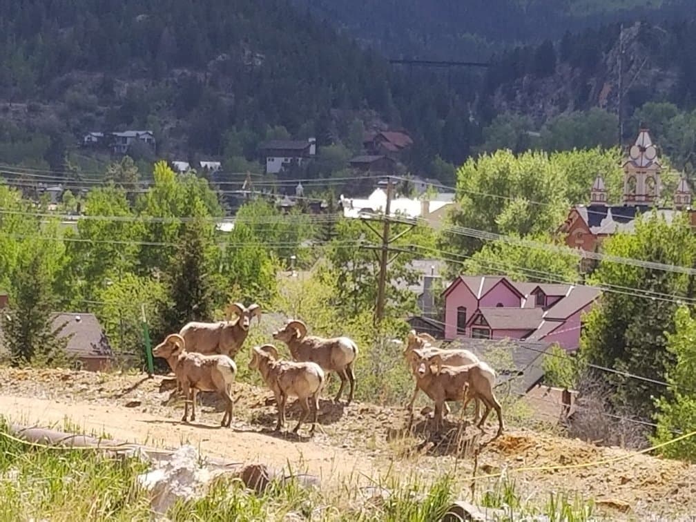 Capital Prize Gold Mine Tour