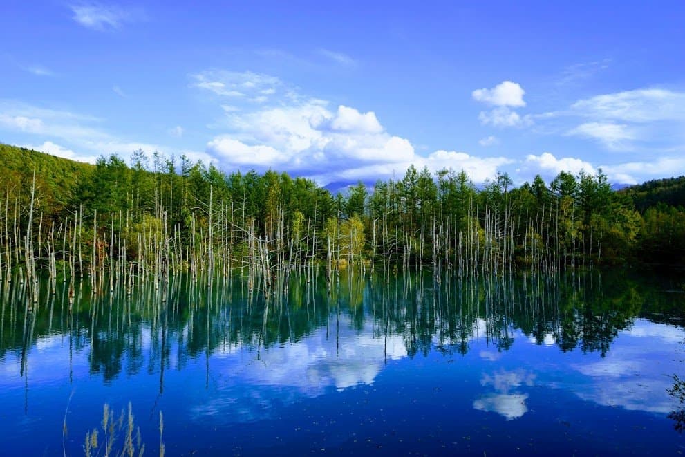 Blue Pond Biei Japan