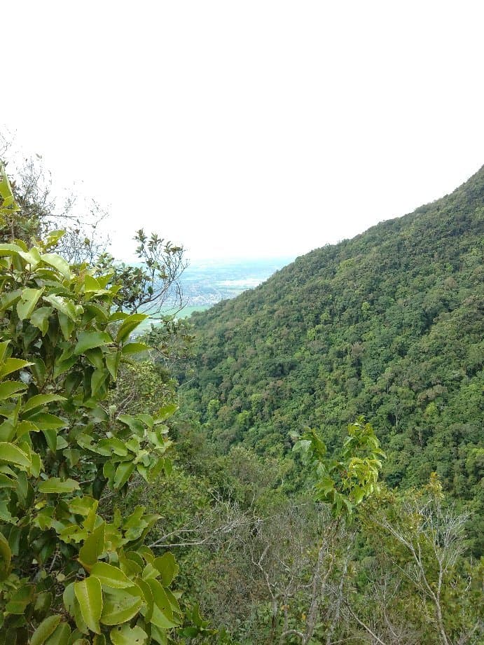 Mount Arayat National Park