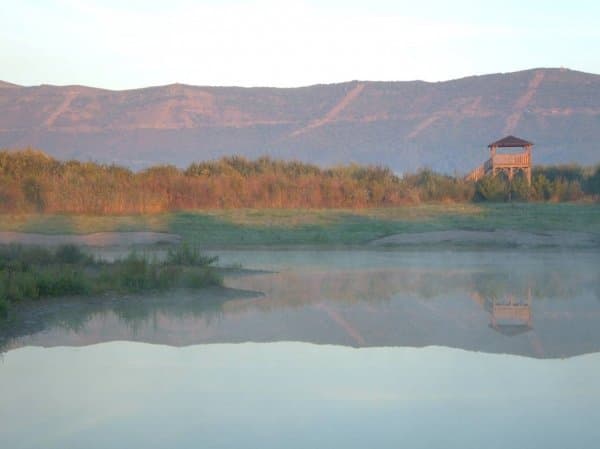 marisma de Plaiaundi al fondo Jaizkibel-Foto Gipuzkoako Museoa-Ekoetxea de Plaiaundi