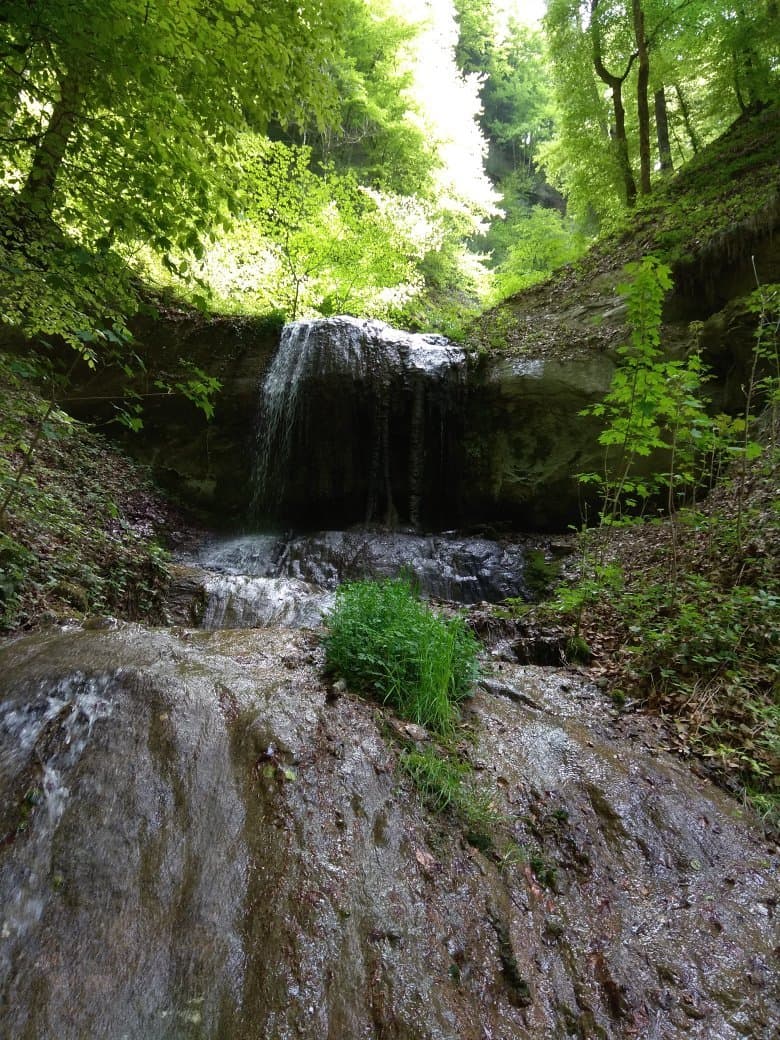 Vallee du Gotteron