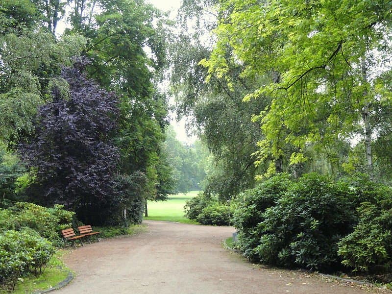 Grüneburgpark
