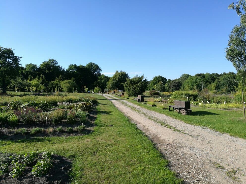 Chelyabinsk State University Botanical Garden