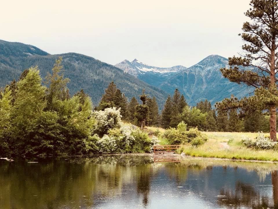 View of reflecting pond
