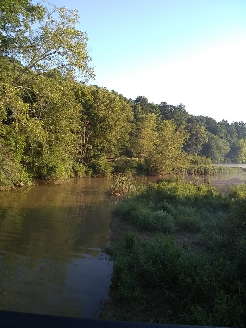 Don White Memorial Park