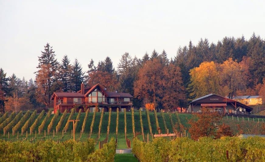 House, winery and Syrah block