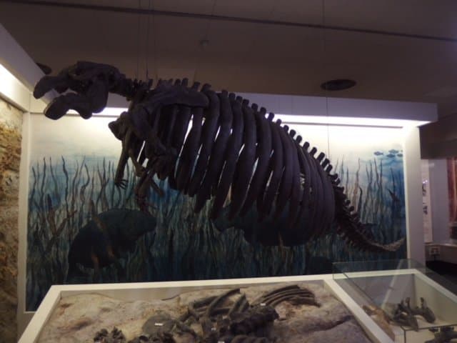 Yamagata City Local History Museum Saiseikan