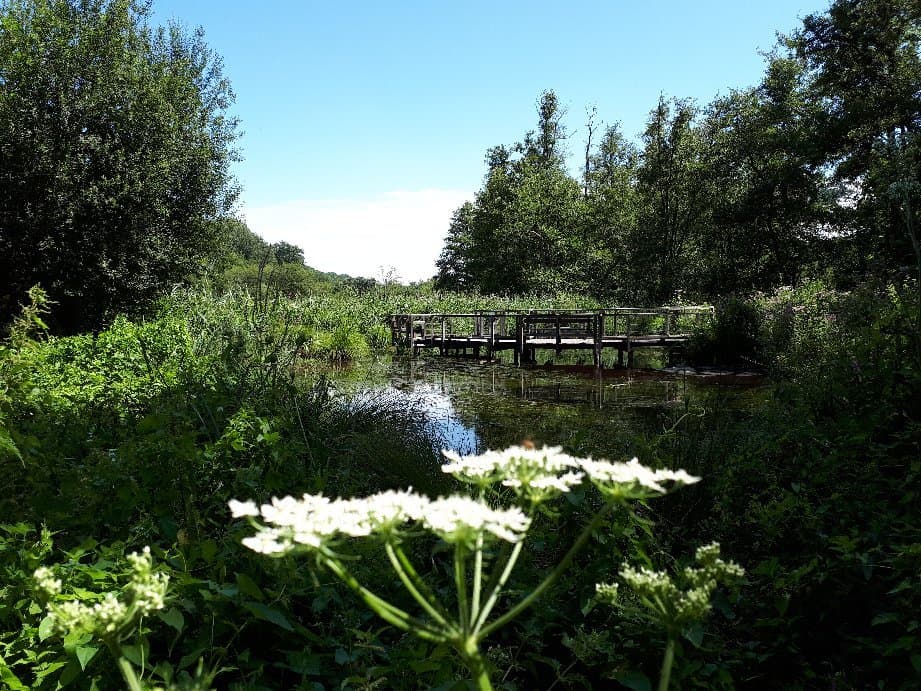 Parc naturel régional de la Haute Vallée de Chevreuse