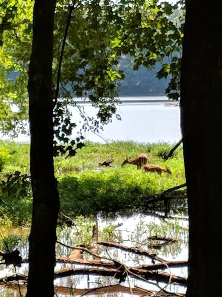 Piedmont Environmental Center