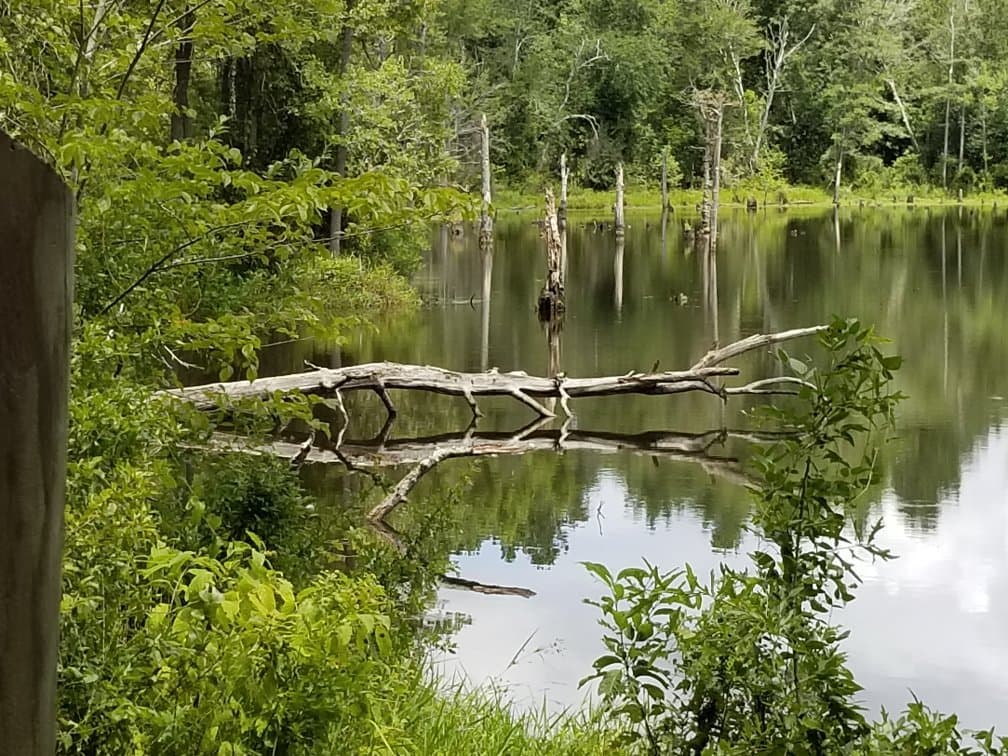 Boyd Pond Park