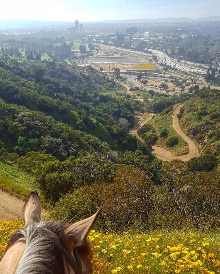 Beautiful views above the city!