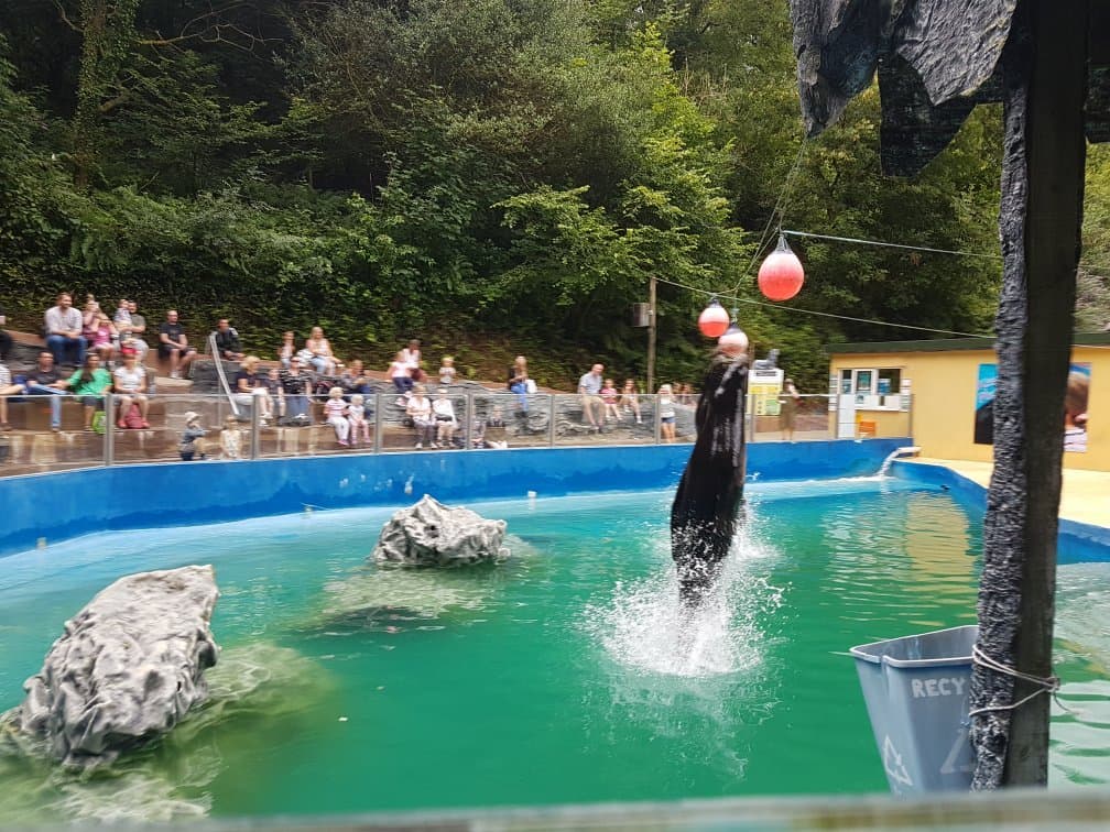 Combe Martin Wildlife & Dinosaur Park