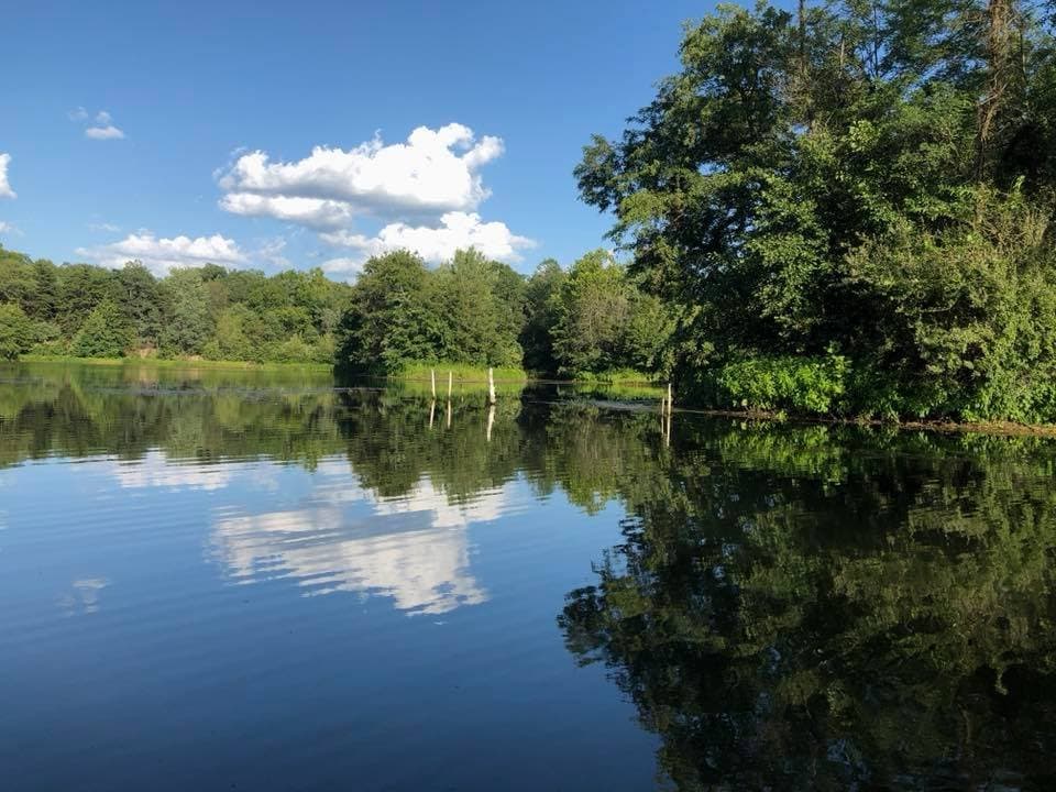 finger lakes