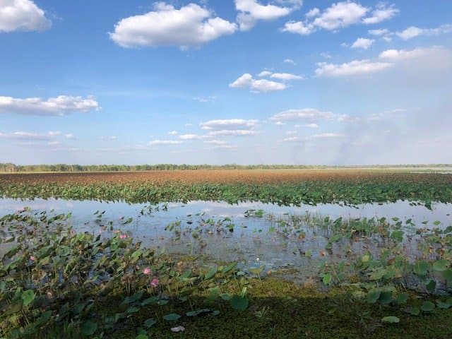 Mamukala Wetlands