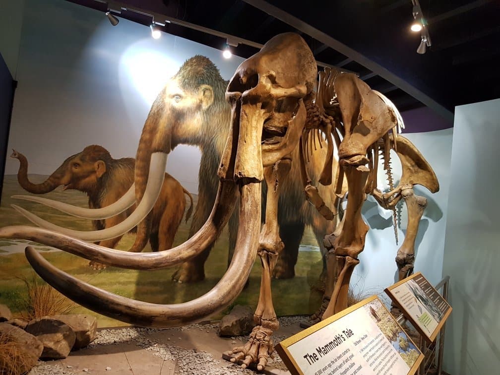 Shropshire Hills Discovery Centre