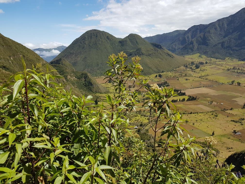Pululahua Geobotanical Reserve