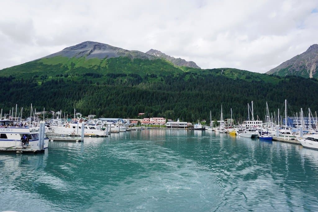 Harbor view 1