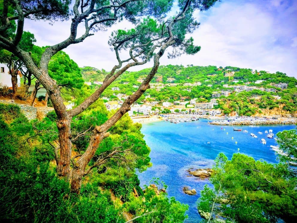 Platja de Tamariu