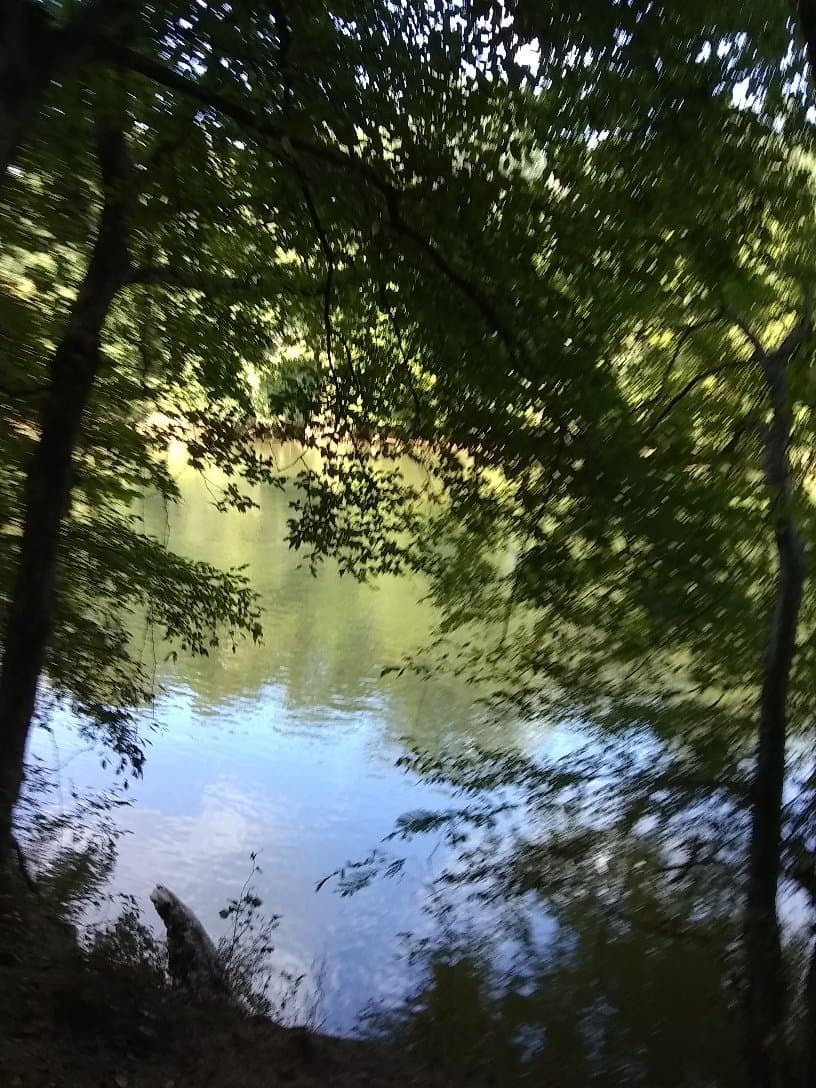 Island Ford Chattahoochee River National Recreation Area